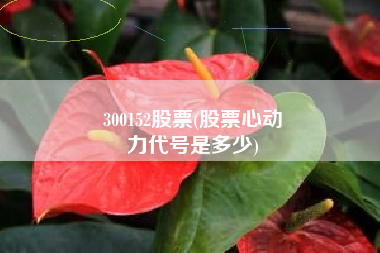 300152股票(股票心动
力代号是多少) 300152股票(股票心动
力代号是多少)