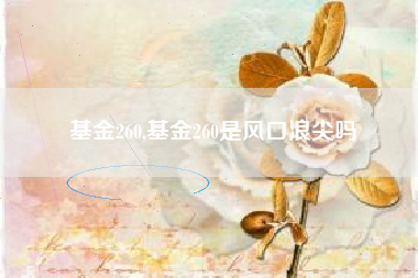 基金260,基金260是风口浪尖吗