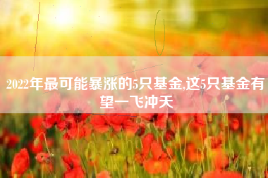 2022年最可能暴涨的5只基金,这5只基金有望一飞冲天