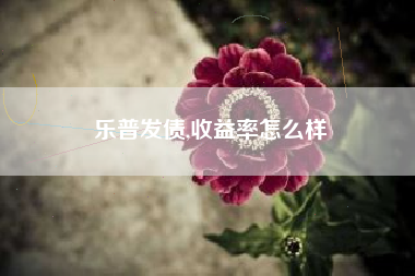乐普发债,收益率怎么样