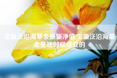 宝盈泛沿海基金最新净值,宝盈泛沿海基金是啥时候成立的