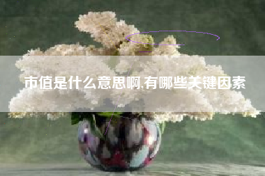 市值是什么意思啊,有哪些关键因素