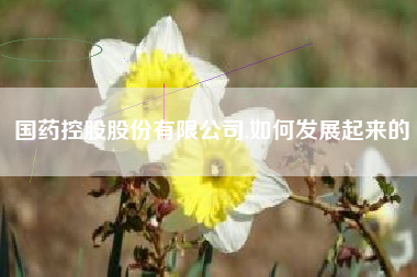 国药控股股份有限公司,如何发展起来的