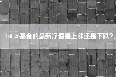 160630基金的最新净值是上涨还是下跌？