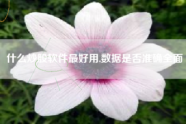 什么炒股软件最好用,数据是否准确全面