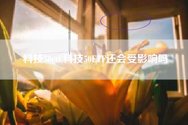 科技50etf,科技50ETF还会受影响吗