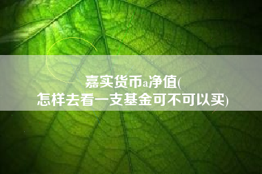 嘉实货币a净值(
怎样去看一支基金可不可以买)