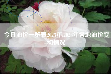 今日油价一览表2023年,2023年各地油价变动情况
