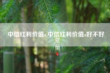 中信红利价值a,中信红利价值a好不好