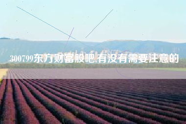 300799东方财富股吧,有没有需要注意的