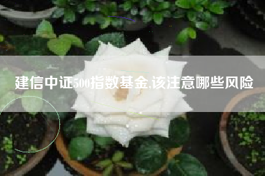 建信中证500指数基金,该注意哪些风险
