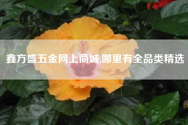 鑫方盛五金网上商城,哪里有全品类精选
