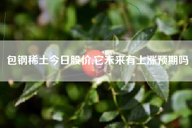 包钢稀土今日股价,它未来有上涨预期吗