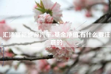 汇添富新能源汽车a基金净值,有什么要注意的