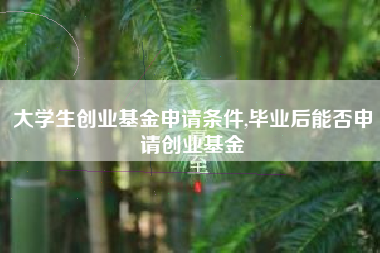 大学生创业基金申请条件,毕业后能否申请创业基金