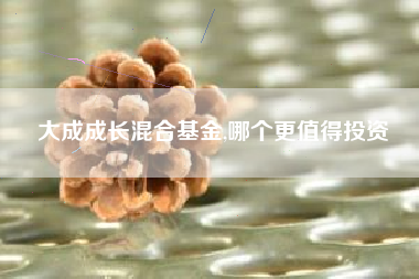 大成成长混合基金,哪个更值得投资