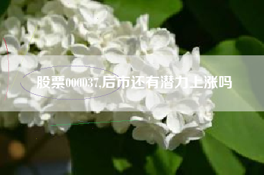 股票000037,后市还有潜力上涨吗