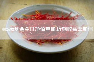 002692基金今日净值查询,近期收益率如何