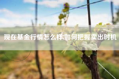 现在基金行情怎么样,如何把握卖出时机