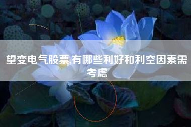 望变电气股票,有哪些利好和利空因素需考虑