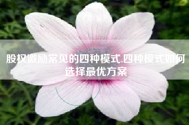 股权激励常见的四种模式,四种模式如何选择最优方案
