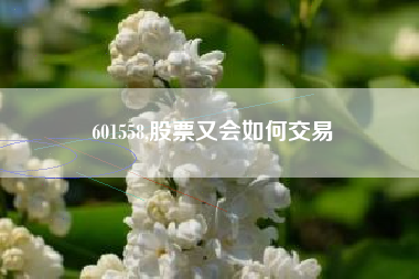 601558,股票又会如何交易