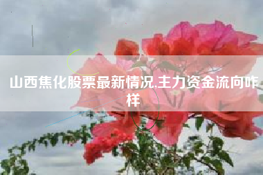 山西焦化股票最新情况,主力资金流向咋样