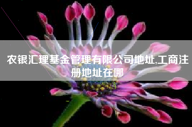 农银汇理基金管理有限公司地址,工商注册地址在哪