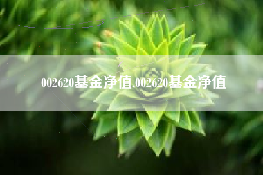 002620基金净值,002620基金净值