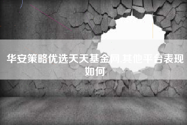 华安策略优选天天基金网,其他平台表现如何