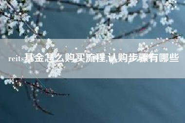 reits基金怎么购买流程,认购步骤有哪些