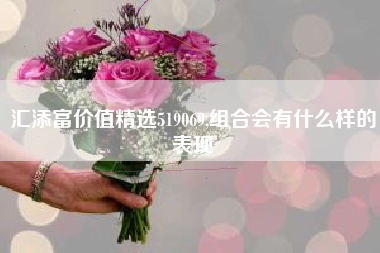 汇添富价值精选519069,组合会有什么样的表现