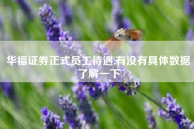 华福证券正式员工待遇,有没有具体数据了解一下