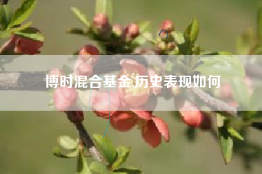 博时混合基金,历史表现如何