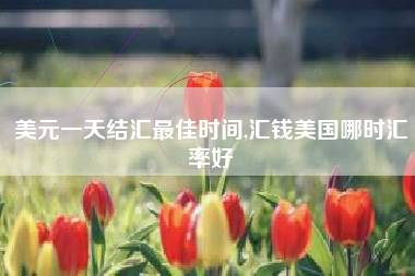 美元一天结汇最佳时间,汇钱美国哪时汇率好