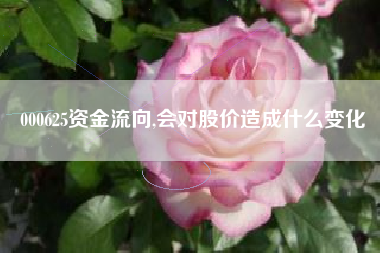 000625资金流向,会对股价造成什么变化