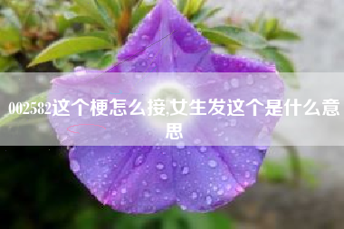 002582这个梗怎么接,女生发这个是什么意思
