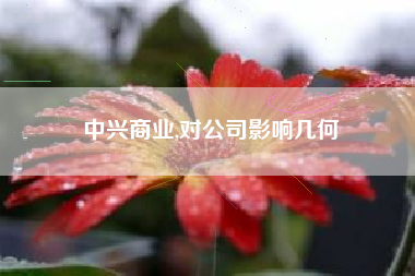 中兴商业,对公司影响几何