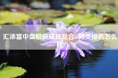 汇添富中盘积极成长混合a,同类排名怎么样