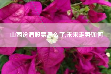 山西汾酒股票怎么了,未来走势如何
