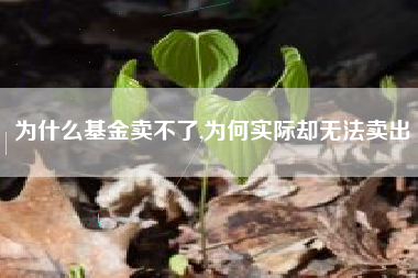 为什么基金卖不了,为何实际却无法卖出