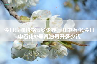 今日汽油价格92多少钱一升中石化,今日中石化92号汽油每升多少钱