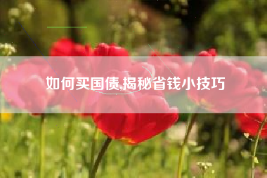 如何买国债,揭秘省钱小技巧