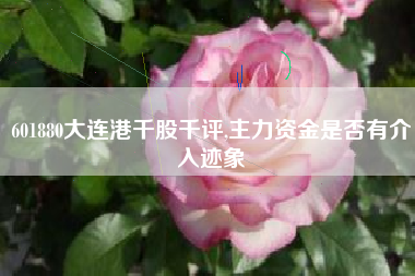 601880大连港千股千评,主力资金是否有介入迹象