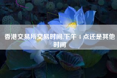 香港交易所交易时间,下午 4 点还是其他时间