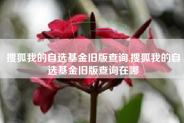 搜狐我的自选基金旧版查询,搜狐我的自选基金旧版查询在哪