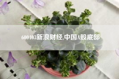 600403新浪财经,中国A股底部