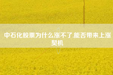 中石化股票为什么涨不了,能否带来上涨契机