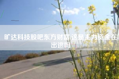 旷达科技股吧东方财富,这是主力资金在出逃吗