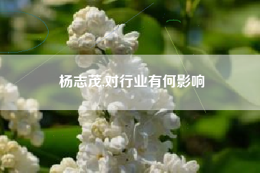 杨志茂,对行业有何影响